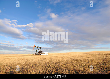 Ölpumpe Zeichnung Öl vom Behälter in southern Alberta Kanada-Öl-patch Stockfoto