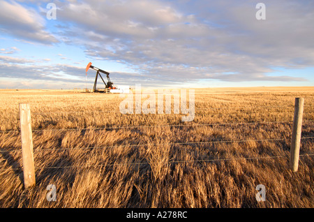 Ölpumpe Zeichnung Öl vom Behälter in southern Alberta Kanada-Öl-patch Stockfoto