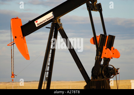 Ölpumpe Zeichnung Öl vom Behälter in southern Alberta Kanada-Öl-patch Stockfoto