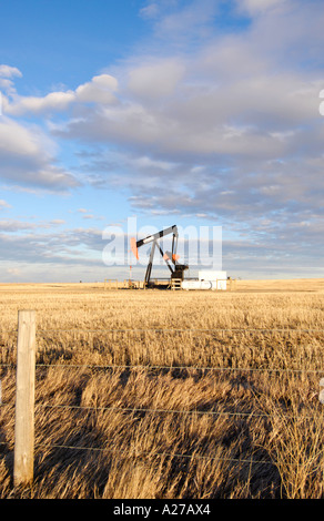 Ölpumpe Zeichnung Öl vom Behälter in southern Alberta Kanada-Öl-patch Stockfoto