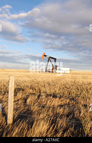 Ölpumpe Zeichnung Öl vom Behälter in southern Alberta Kanada-Öl-patch Stockfoto