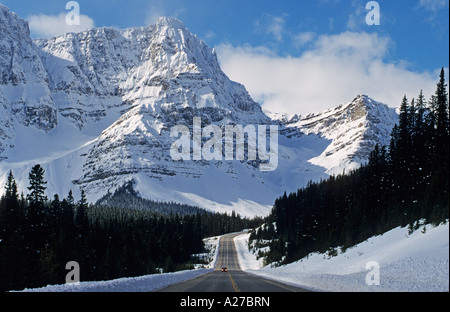Icefields Parkway, Banff Nationalpark, Alberta, Kanada Stockfoto