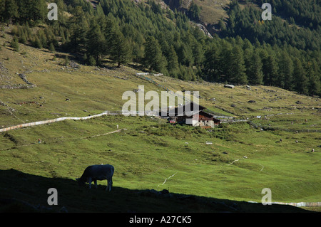 Bauernhof im Naturpark Pfossental S Tirolya Südtirol Italien Stockfoto