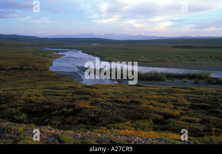 Killik-Fluss fließt durch arktische Tundra mit Brooks Range in den Rücken National Petroleum bewahren Alaska North Slope Stockfoto
