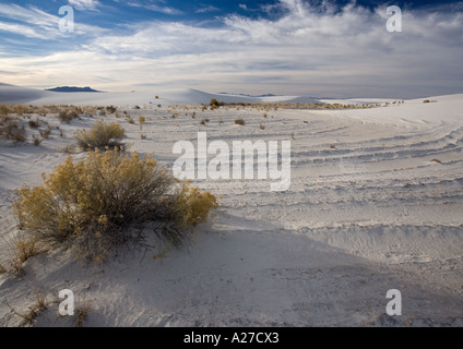 Schöne Wind geformten weißen Gips Dünen in den White Sands National Monument zeigt gebogene Kanten Stockfoto