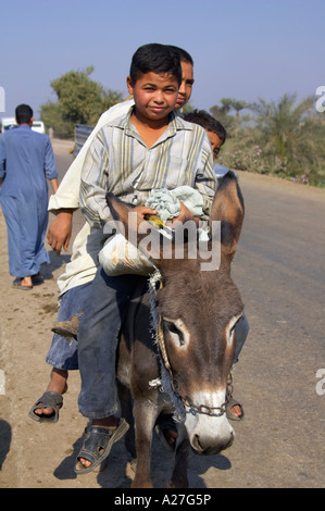 Ägyptischen Jungen auf einem Esel reitend Stockfoto