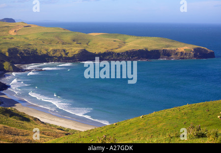 Otago Halbinsel in Neuseeland Südinsel Stockfoto