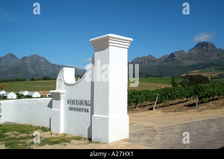 Helderburg Reben am Webersberg Estate in der Nähe von Stellenbosch western Cape Südafrika RSA Wein Farmen Stockfoto