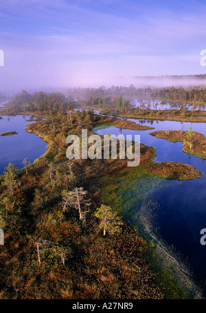 SOMMER-MORGENDÄMMERUNG AM MANNIKJARVE RABA ESTLAND Stockfoto