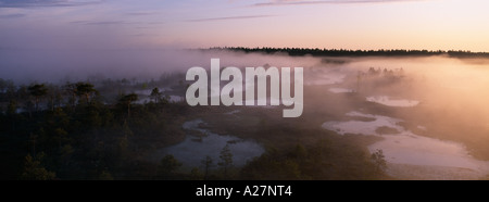 SOMMER-MORGENDÄMMERUNG AM MANNIKJARVE RABA ESTLAND Stockfoto