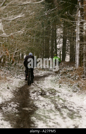 Mountainbike-Touren durch den Wald im Schnee Stockfoto