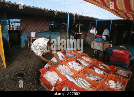 Fischmarkt in Tripolis Libyen Stockfoto