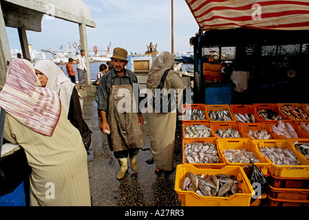 Fischmarkt in Tripolis Libyen in Nordafrika Stockfoto