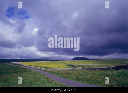 Gewitterwolken sammeln über der Yorkshire Dales Yorkshire England Stockfoto