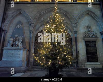 Salisbury Wiltshire England Salisbury Kathedrale Westend mit Weihnachtsbaum Stockfoto