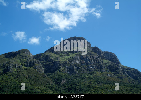 Tafelberg aus Kirstenbosch National Botanical Gardens Kapstadt Südafrika RSA Stockfoto