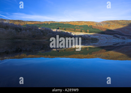 Reflexionen von Frost und Bäume auf Loch Lubhair, Hochland von Schottland, Vereinigtes Königreich Stockfoto