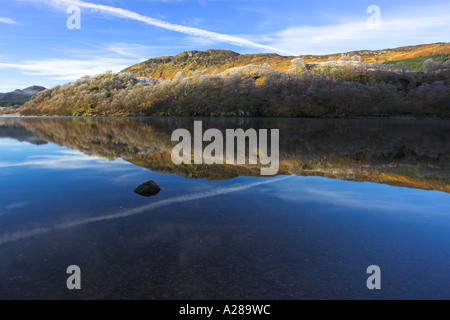 Reflexionen von Frost und Bäume auf Loch Lubhair, Hochland von Schottland, Vereinigtes Königreich Stockfoto