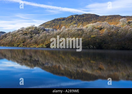 Reflexionen von Frost und Bäume auf Loch Lubhair, Hochland von Schottland, Vereinigtes Königreich Stockfoto