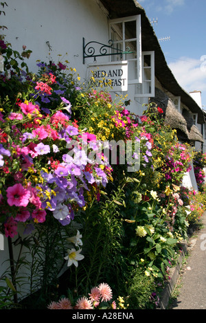 Bed &amp; Breakfast in Branscombe Devon strohgedeckten Hütte Devon hübsche Blumen hängenden Körben Stockfoto