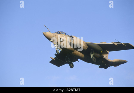 HS-Blackburn Buccaneer S2B Golf-Krieg-Veteran-Desert Storm Sand Farbe Farbe Stockfoto