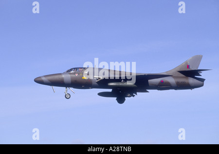 Hawker Hunter T8B Kämpfer und Boden Angriff Jet-Flugzeuge.   GAV 2119-211 Stockfoto