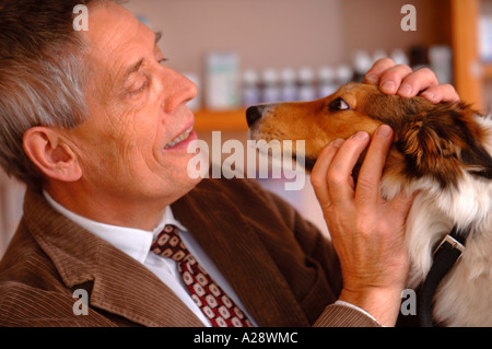 CHRISTOPHER TAG EINEM HOMÖOPATHISCHEN TIERARZT EINEN HUND IN SEINEM OXFORDHIRE CHIRURGIE UK UNTERSUCHT Stockfoto