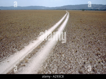 Feldweg tritt in der Ferne auf die trockenen Ebenen des Capanaparo Cinaruco Park in Apure Staat Venezuela Stockfoto