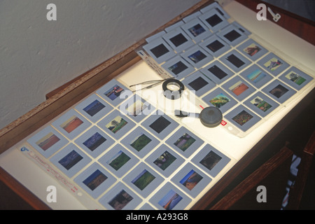 Fotografische Transparenz Folien auf Lichtkasten Stockfoto