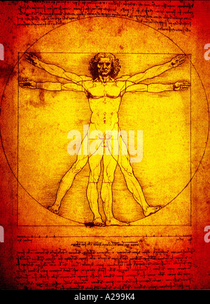 Vitruvian Mann Skizze von Leonardo da Vinci in goldenen Ton Stockfoto