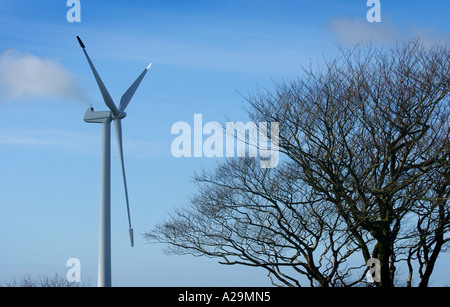 Bradworthy Windkraftanlagen im Bild hinter Bäumen Stockfoto