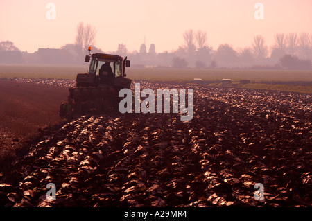 BAUERNHOF TRAKTOR PFLÜGEN FELD IN AM NACHMITTAG HERBSTLICHE SONNENLICHT Stockfoto