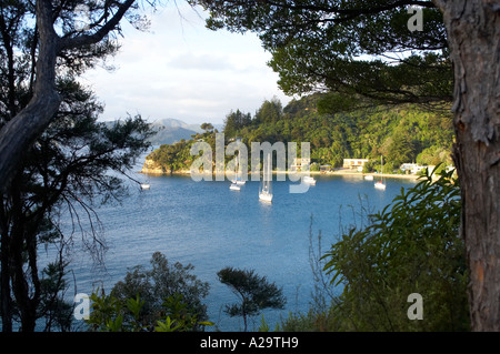 Wharetukura Bay in der Nähe von Picton Marlborough Sounds Südinsel Neuseeland Stockfoto
