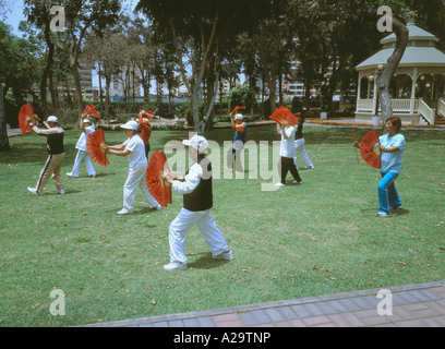 Senioren nehmen Teil in Tai Chi-Fitness-Aktivität in einem Miraflores Park Lima peru Stockfoto