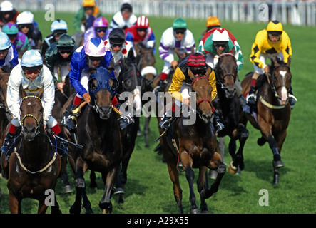 Pferde und jockeys Rennen in Ascot Stakes Tagung des Royal Ascot Stockfoto