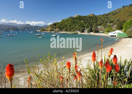 Waikawa Bay in der Nähe von Picton Marlborough Sounds Südinsel Neuseeland Stockfoto