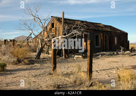 Verlassenen Holzhütte, Cima, in der Mojave-Wüste, Kalifornien, USA. Stockfoto