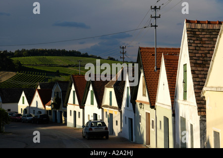 Wein Region Falkenstein im unteren Austrias Weinviertel, Spur der Rebe Keller Stockfoto