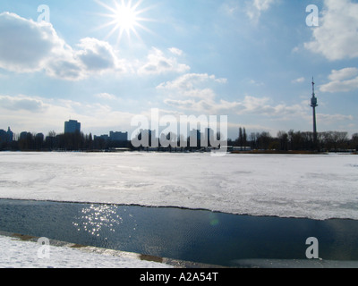 Wien, alte Donau im winter Stockfoto