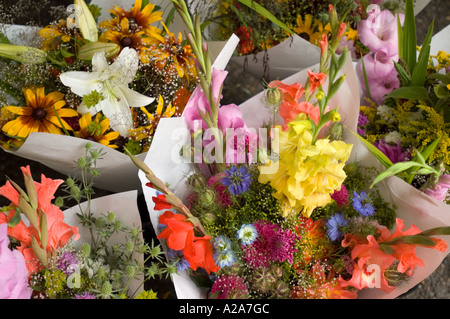 Blumen zum Verkauf auf dem Bauernmarkt Portland in Oregon. Stockfoto