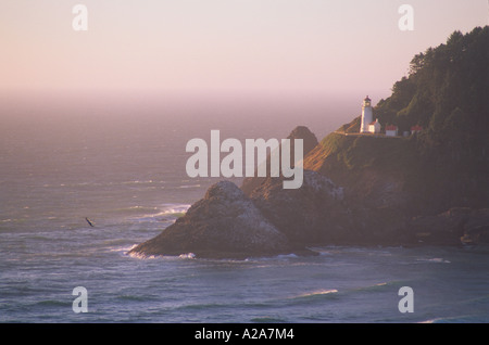 Heceta Head Lighthouse an Oregons Pazifikküste. Stockfoto