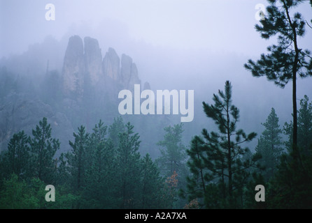 Felsformationen in den Black Hills von South Dakota. Stockfoto