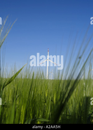 Windpark Parndorf, Österreich, Windräder Stockfoto