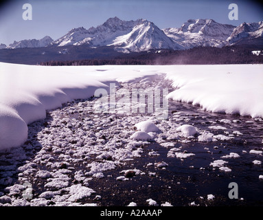 Frostiger Morgen entlang eines kleinen Baches im Sawtooth National Recreation Area Idaho Stockfoto