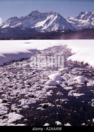 Eisig kalter Morgen entlang eines kleinen Baches im Sägezahn National Recreation Area zentrale Idaho Stockfoto