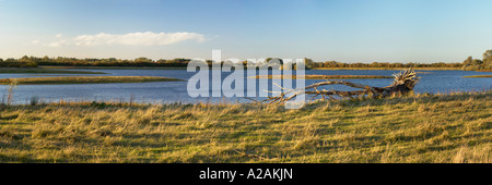 Fen Drayton Naturschutzgebiet stillgelegten Kies Gruben Sonnenuntergang Stockfoto