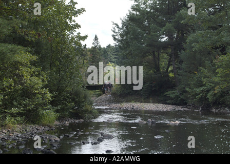 Hiawatha-Park, Naturschutzgebiet Stockfoto