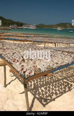 Thailand Ko Phangan Pha Ngan North Chaloklum Strand erwischt frisch Tintenfisch auf Gestellen in der Sonne trocknen Stockfoto