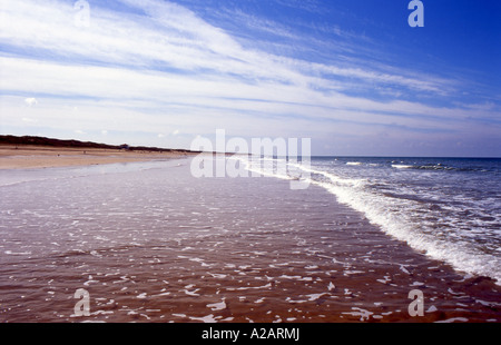 weite Strand blickt Brem Sur Mer in Bretignolles-Sur-Mer-Vendee Frankreich Anzahl 2396 Stockfoto