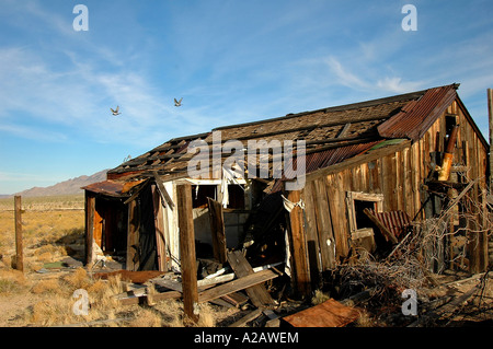 Verlassenen Holzhütte, Cima, in der Mojave-Wüste, Kalifornien, USA. Stockfoto